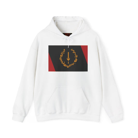 The Black American Heritage flag Luxury Statement Hoodie with Graphic Design, Unisex Pullover